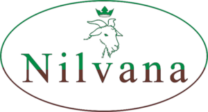 Logo_Nilvana