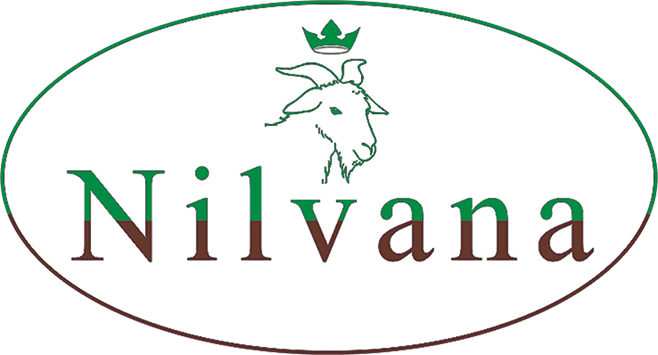 Logo_Nilvana
