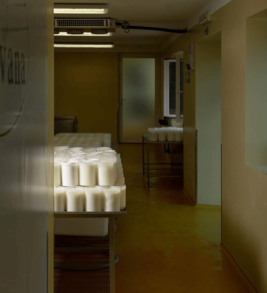 Caseificio in produzione