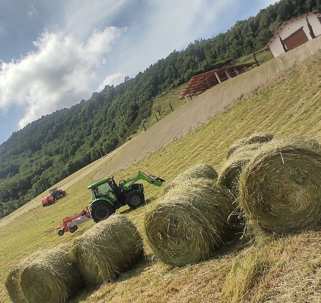 Trattori in fase di imballaggio